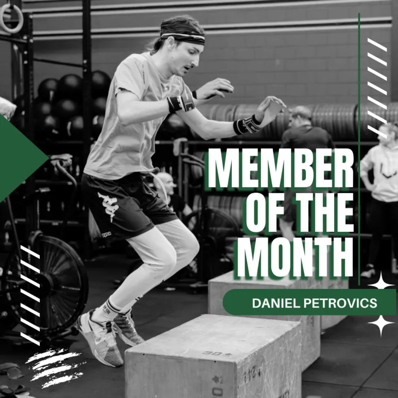 Member of the Month: Daniel Petrovics